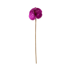 Tige d’Anthurium Artificiel – Mauve