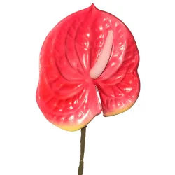 Tige Anthurium Arti Rose