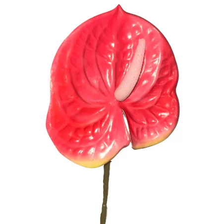 Tige Anthurium Arti Rose
