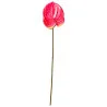 Tige Anthurium Arti Rose