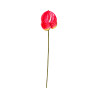 Tige d’Anthurium Artificiel – Rose