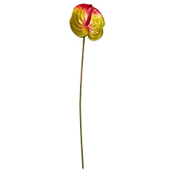 Tige Anthurium Arti Vert Strié Rouge