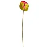 Tige Anthurium Arti Vert Strié Rouge