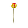 Tige d’Anthurium Artificiel – Vert Strié Rouge