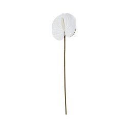 Tige d’Anthurium Artificiel – Blanc