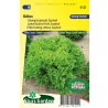 SL0121 Laitue Batavia Frisée