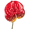 Tige Anthurium Arti Rouge taché marron