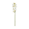Cymbidium artificiel blanc cœur jaune 10 fleurs