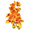 C2 Cymbidium #5 (Orange)