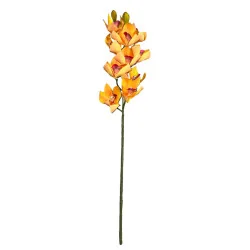 C2 Cymbidium #5 (Orange)