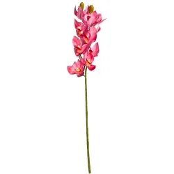 C2 Cymbidium #4 (Rose foncé)