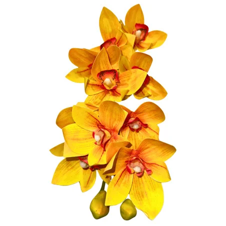 C2 Cymbidium #7 (Jaune Coeur rouge)