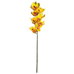 C2 Cymbidium #7 (Jaune Coeur rouge)