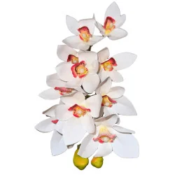 C2 Cymbidium #1 (Blc coeur rouge)