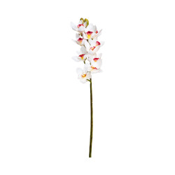 Cymbidium Blanc Cœur Rouge Artificiel