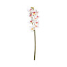 Cymbidium Blanc Cœur Rouge Artificiel
