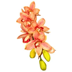 HS006 - Cymb Rose corail