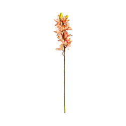 Cymbidium Rose Corail Artificiel
