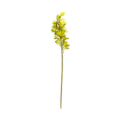 Cymbidium Vert Anis Strié Marron Artificiel