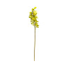 Cymbidium Vert Anis Strié Marron Artificiel