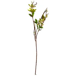 Fleurs arti B5 a
