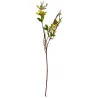 Fleurs arti B5 a