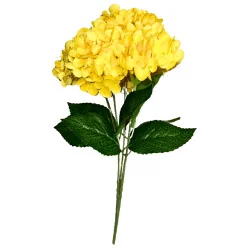 L001 - Hortensia Grosse Fleur Jaune