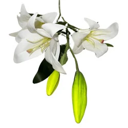 HS001 LysArti Longue Tige #3 Blanc