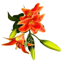 HS001 LysArti Longue Tige #8 Orange