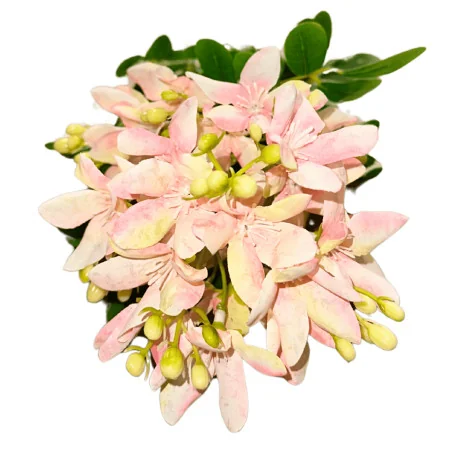 P02 - Fleurs Arti Rose Clair