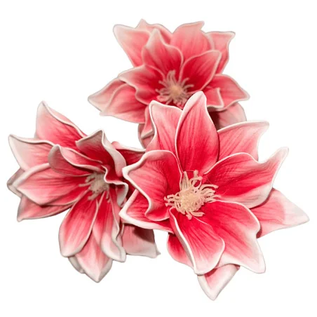 P08 Tige 3 Fleurs - White pink rose clr