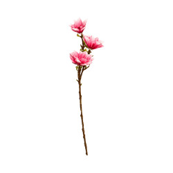 Tige 3 Fleurs – Blanc Rose Clair