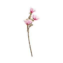Branche de Magnolia Blanc & Rose Artificielle