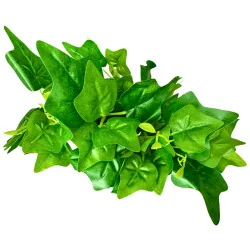 W001 - Feuillage en Branche