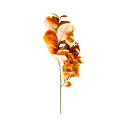 Branche Feuillage Jaune Orange