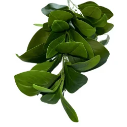 P05-C Feuil tige vert