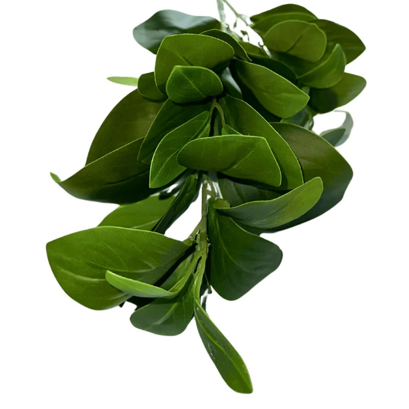 P05-C Feuil tige vert