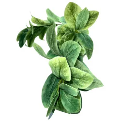 P05-D Feuil Tige Vert Clair Panaché