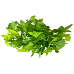 W009 - Feuillage en Branche