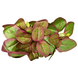 W008 - Feuillage en Branche