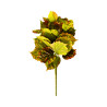 W005 - Feuillage en Branche Automnal
