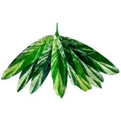 A21 Feuillage Ape Strié panaché branche