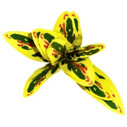 A22 Feuillage Ape panch jaune inter roug