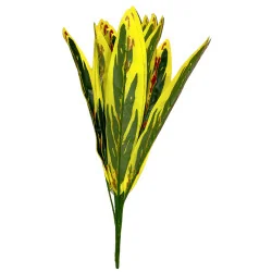 A22 Feuillage Ape panch jaune inter roug