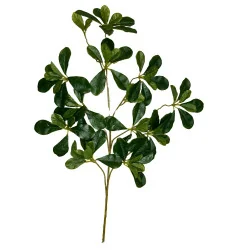 A12 Feuillage Malabar branche