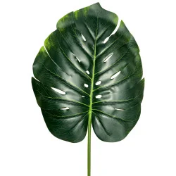 A11 Feuillage Ape Soc en tige L